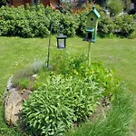 Affittacamere Waldesruh/halseralm Schladming