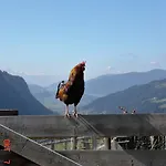 Waldesruh/halseralm Schladming