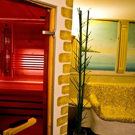 Waldesruh/halseralm 3* シュラートミンク