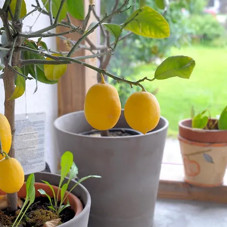 Гостевой дом Waldesruh/halseralm