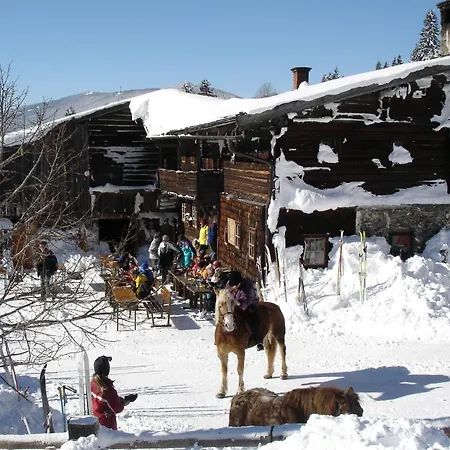 Waldesruh/halseralm Schladming