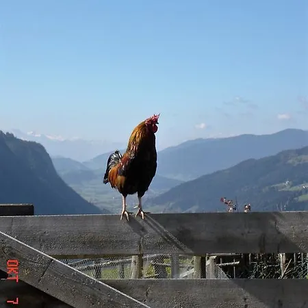 Waldesruh/halseralm シュラートミンク