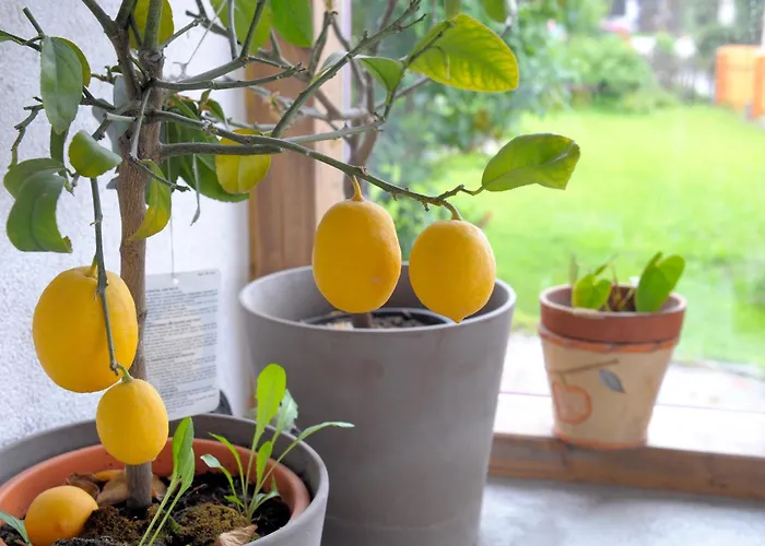 Penzion Waldesruh/halseralm