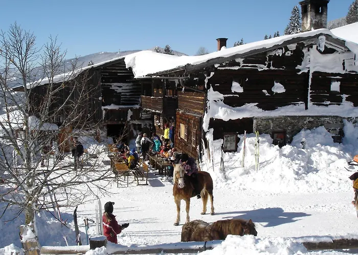 Waldesruh/halseralm Schladming