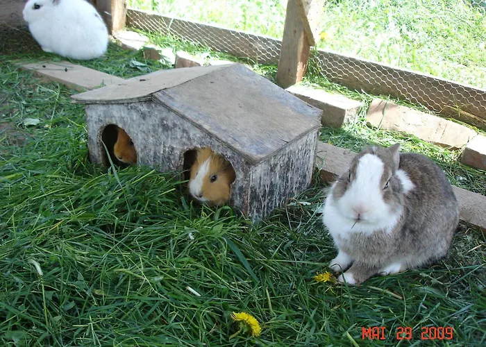 Waldesruh/halseralm Penzion 3*